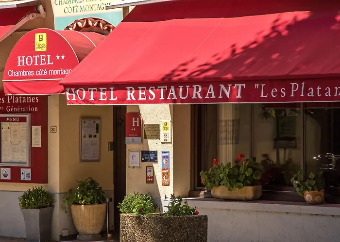 Hôtel et appartements les platanes